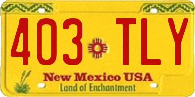NM license plate 403TLY