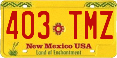 NM license plate 403TMZ