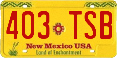 NM license plate 403TSB