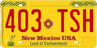 NM license plate 403TSH