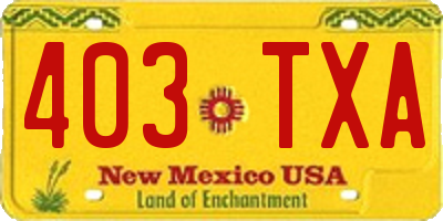 NM license plate 403TXA