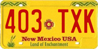 NM license plate 403TXK