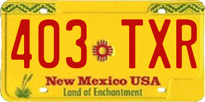 NM license plate 403TXR