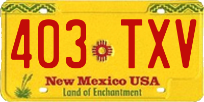 NM license plate 403TXV