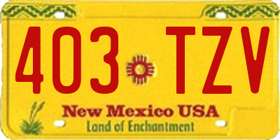 NM license plate 403TZV