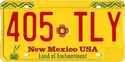 NM license plate 405TLY