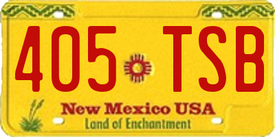 NM license plate 405TSB