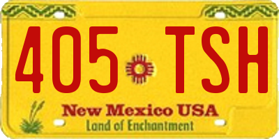 NM license plate 405TSH
