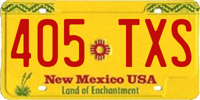 NM license plate 405TXS