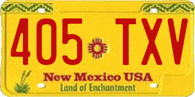 NM license plate 405TXV