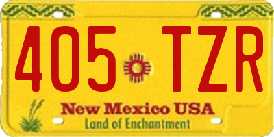 NM license plate 405TZR