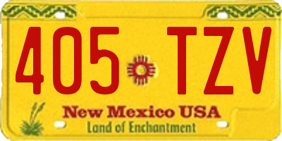 NM license plate 405TZV