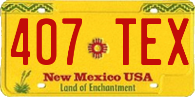 NM license plate 407TEX