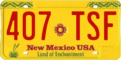 NM license plate 407TSF