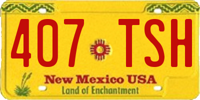 NM license plate 407TSH