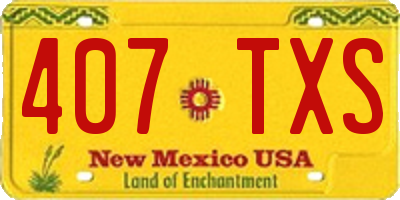 NM license plate 407TXS