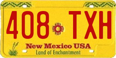 NM license plate 408TXH