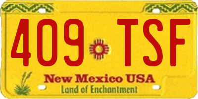 NM license plate 409TSF