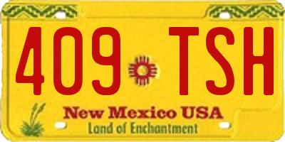 NM license plate 409TSH