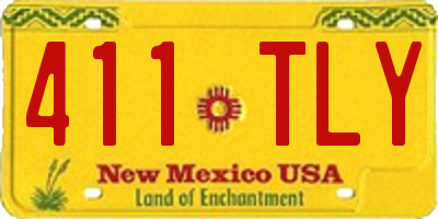 NM license plate 411TLY