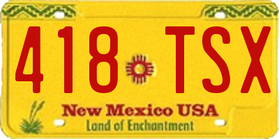 NM license plate 418TSX