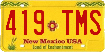 NM license plate 419TMS