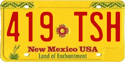 NM license plate 419TSH