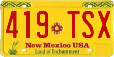 NM license plate 419TSX