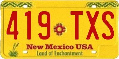 NM license plate 419TXS