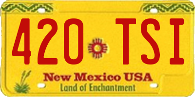 NM license plate 420TSI