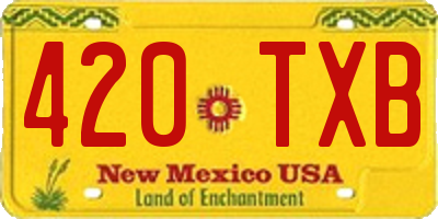 NM license plate 420TXB