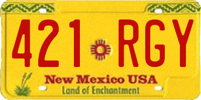 NM license plate 421RGY