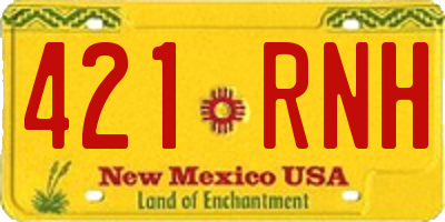 NM license plate 421RNH