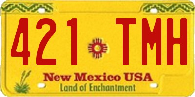 NM license plate 421TMH
