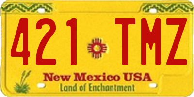 NM license plate 421TMZ