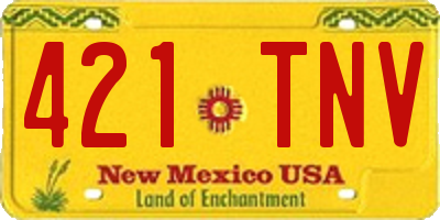 NM license plate 421TNV