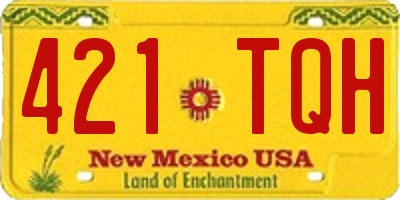 NM license plate 421TQH