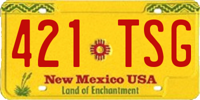 NM license plate 421TSG