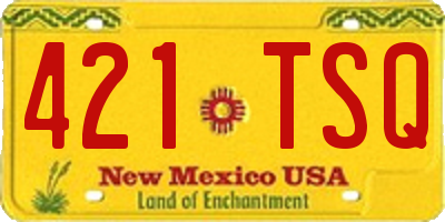 NM license plate 421TSQ