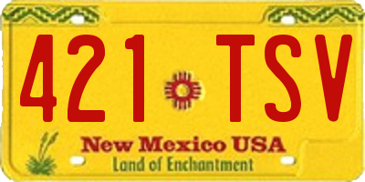 NM license plate 421TSV