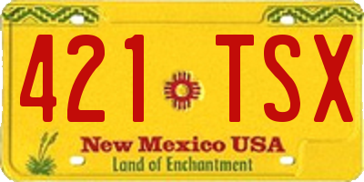 NM license plate 421TSX