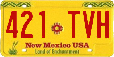 NM license plate 421TVH