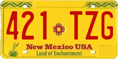 NM license plate 421TZG