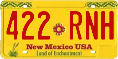 NM license plate 422RNH