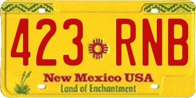 NM license plate 423RNB