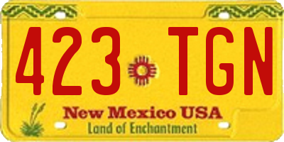 NM license plate 423TGN