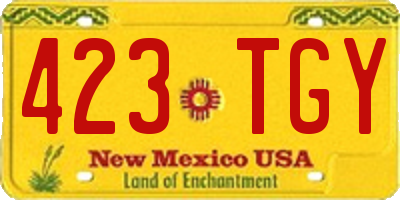 NM license plate 423TGY