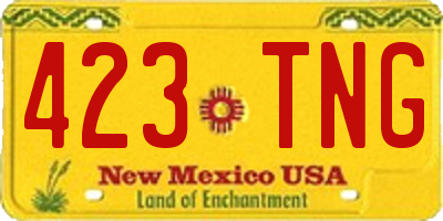 NM license plate 423TNG