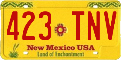 NM license plate 423TNV