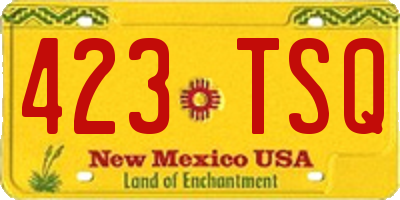 NM license plate 423TSQ